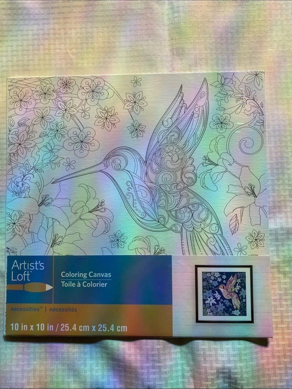 Artist's Loft Hummingbird Coloring Canvas 10 x 10 in Multicolor